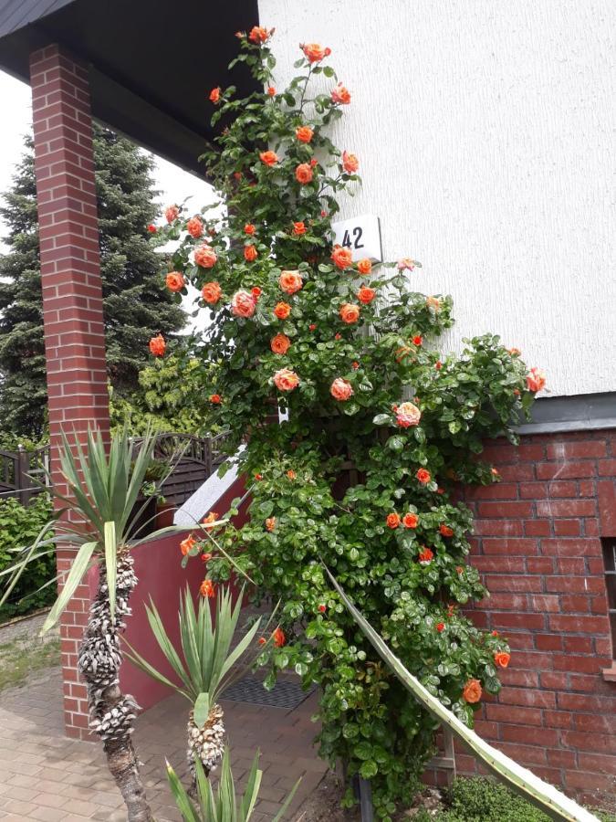 Lejlighed Das Besondere Quartier In Berlin Pankow